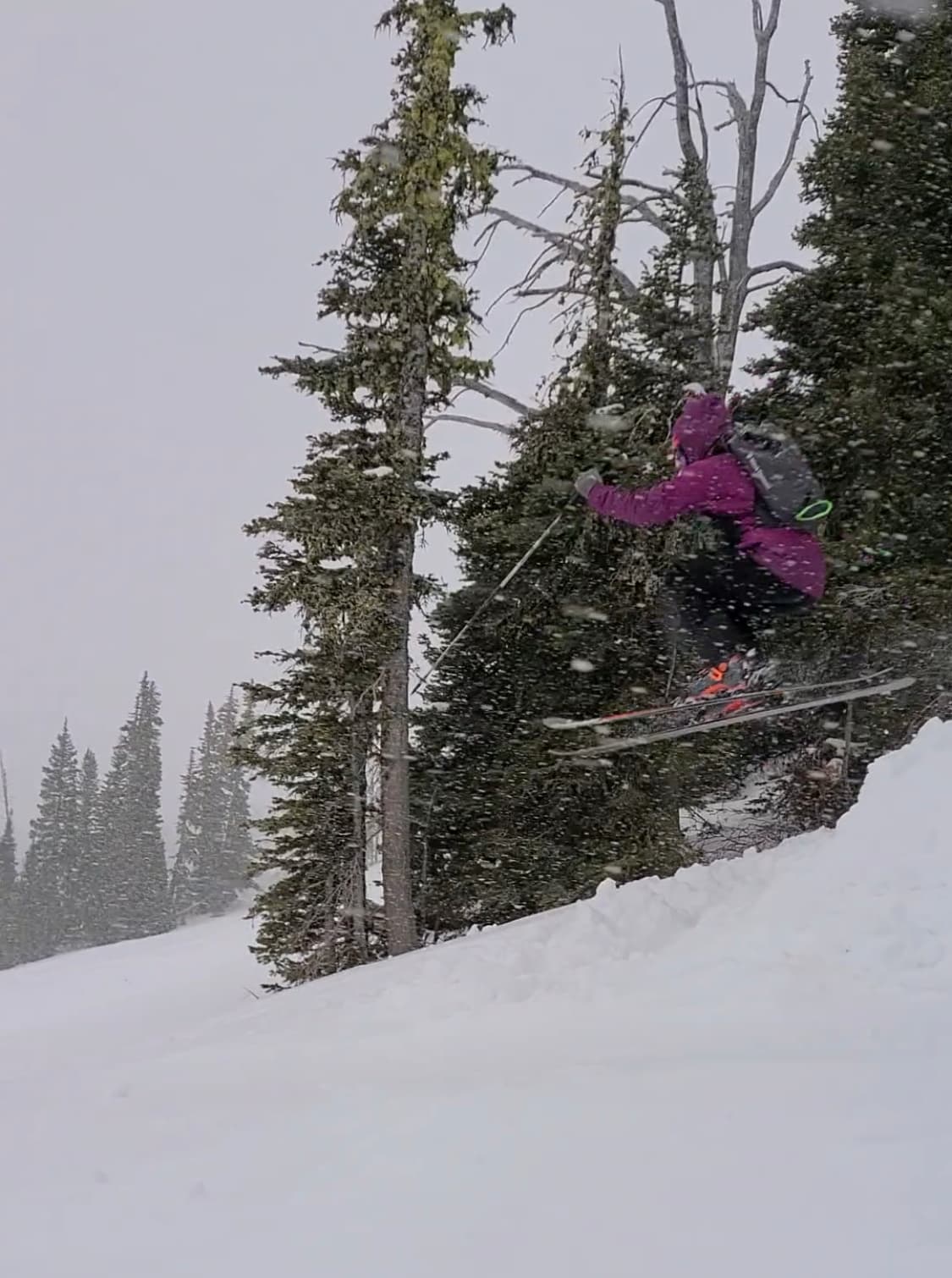 Nadav Oakes guiding - 4