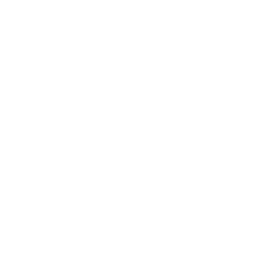 Peak Innovations Logo