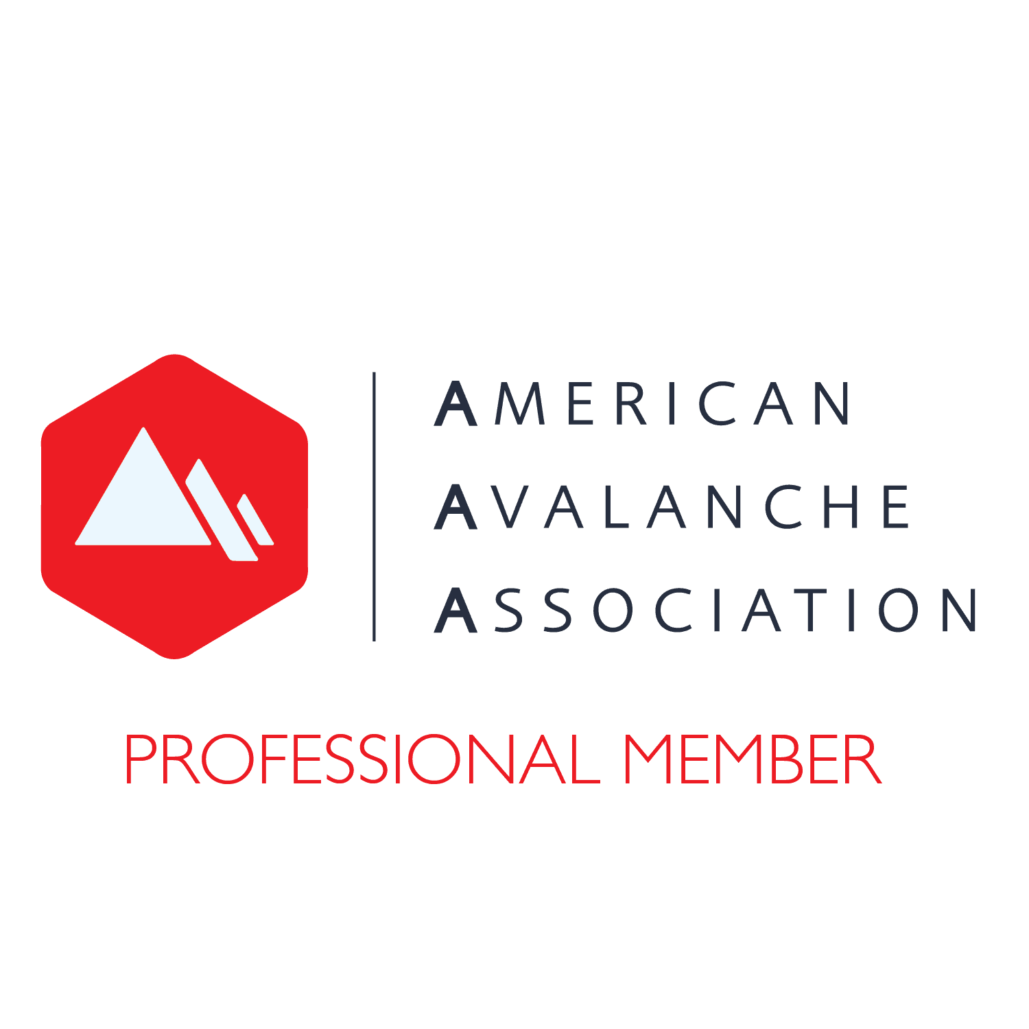 Avalanche Pro 2